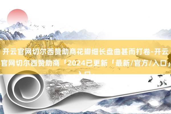 开云官网切尔西赞助商花瓣细长盘曲甚而打卷-开云官网切尔西赞助商「2024已更新「最新/官方/入口」