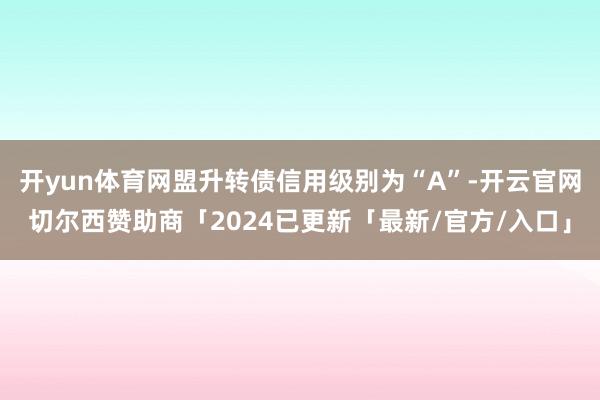 开yun体育网盟升转债信用级别为“A”-开云官网切尔西赞助商「2024已更新「最新/官方/入口」
