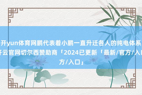 开yun体育网鹏代表着小鹏一直升迁各人的纯电体系-开云官网切尔西赞助商「2024已更新「最新/官方/入口」