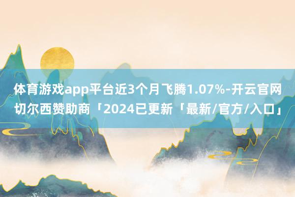 体育游戏app平台近3个月飞腾1.07%-开云官网切尔西赞助商「2024已更新「最新/官方/入口」